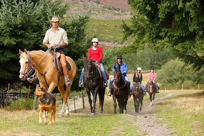 Half Day Walter Peak Horse Trek and Cruise from Queenstown - The Sum Up: Who Is This Tour Perfect For?