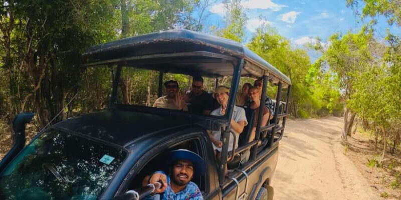 Half-Day Wild Safari in Yala National Park - Key Points