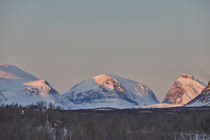 Half day Wildlife and Nature Photography - What to Expect on Your Kiruna Wildlife and Nature Photography Tour