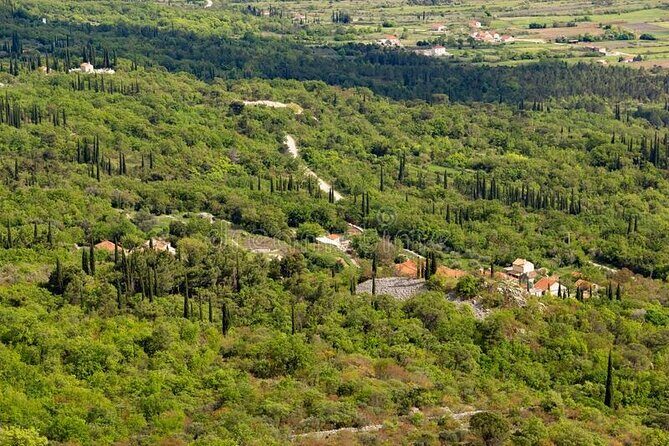 Half-Day Wine and Food Tasting from Dubrovnik - Who This Tour Is Best For