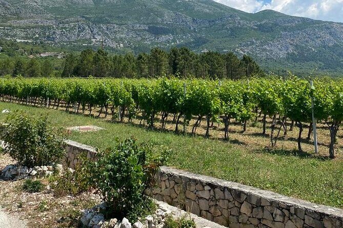 Half-Day Wine and Food Tasting from Dubrovnik - Final Thoughts