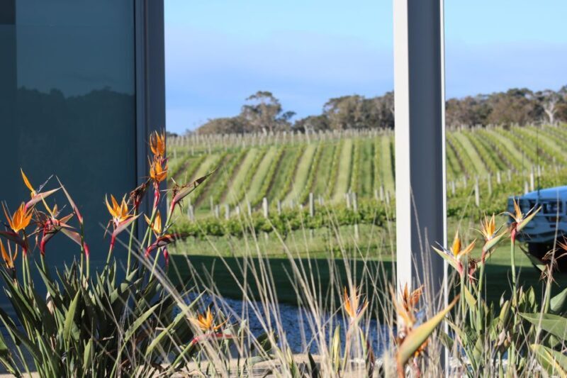 Half day Wine and Sights Discovery Tour Busselton - Overview of the Half Day Wine and Sights Discovery Tour Busselton