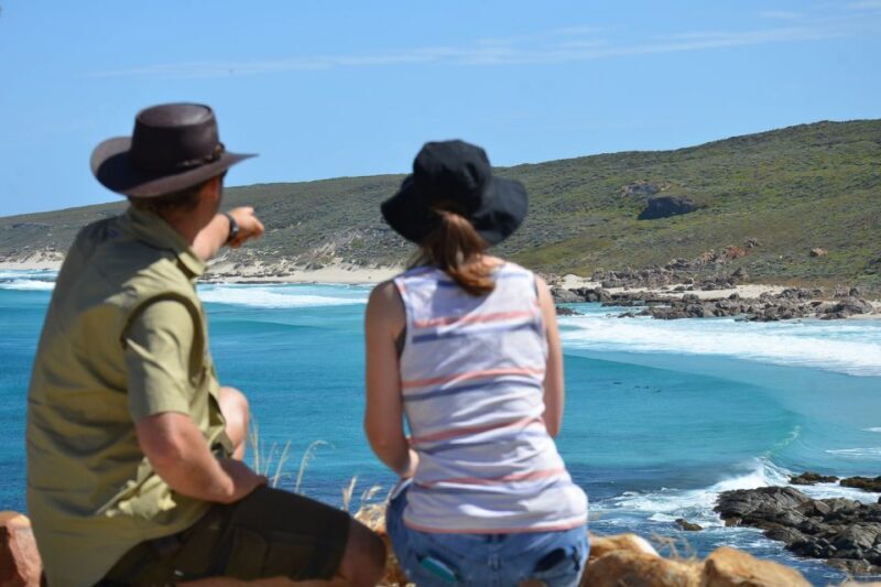 Half day Wine and Sights Discovery Tour Busselton - Key Points