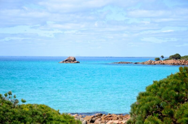 Half day Wine and Sights Discovery Tour Busselton - Frequently Asked Questions