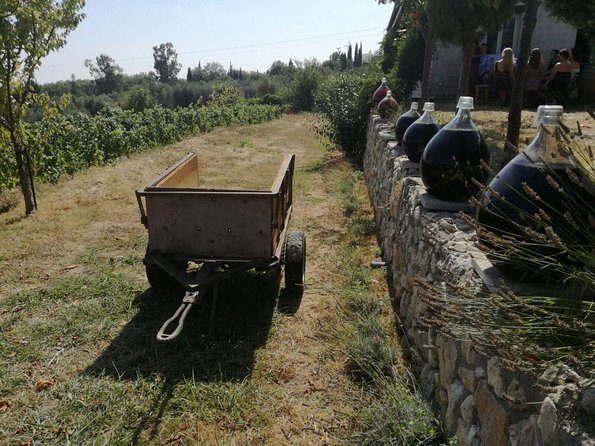 Half-Day Wine Tasting and Saint Paul de Vence Tour from Nice - Exploring the Beautiful French Riviera on a Half-Day Wine and Village Tour
