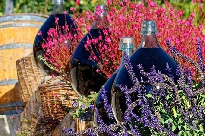 Half-Day Wine Tasting and Saint Paul de Vence Tour from Nice - Final Thoughts