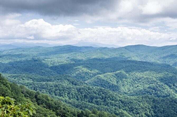 Half-Day Wine Tastings in the North Georgia Mountains - A Closer Look at the North Georgia Wine Country Tour