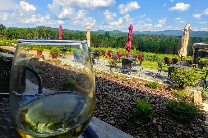 Half-Day Wine Tastings in the North Georgia Mountains - The Sum Up