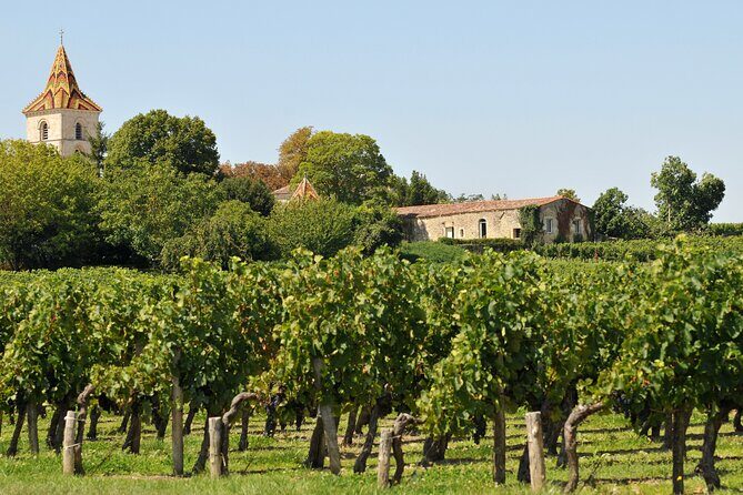 Half-Day Wine tour across Bordeauxs Vineyards - FAQ