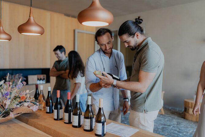 Half Day Wine Tour Around Evora - Experience the Flavors of Portugal on a Half Day Wine Tour Around Évora