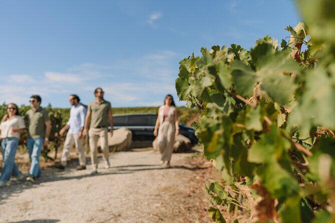 Half Day Wine Tour Around Evora - An In-Depth Look at the Tour Experience