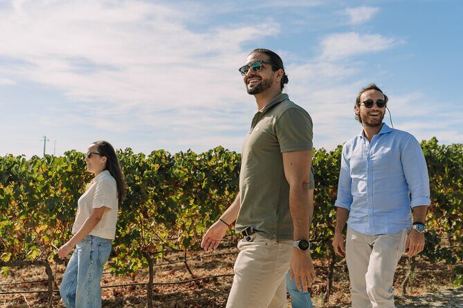 Half Day Wine Tour Around Evora - The Authentic Flavors of Alentejo