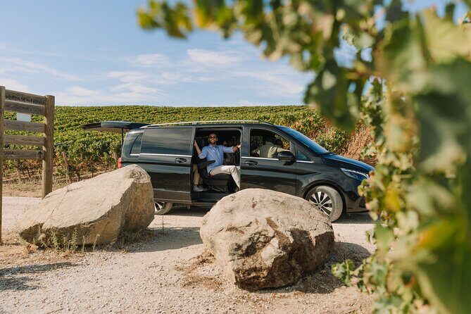 Half Day Wine Tour Around Evora - Who Will Enjoy This Tour?