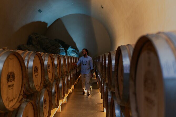 Half Day Wine Tour Around Evora - Final Thoughts