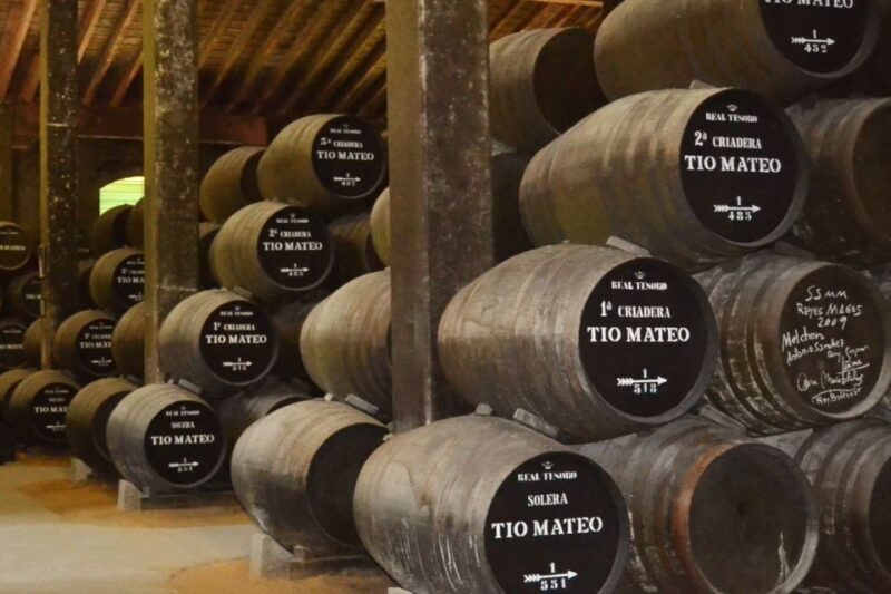 Half-Day Wine Tour in Andalusia in small group - What You’ll See and Experience