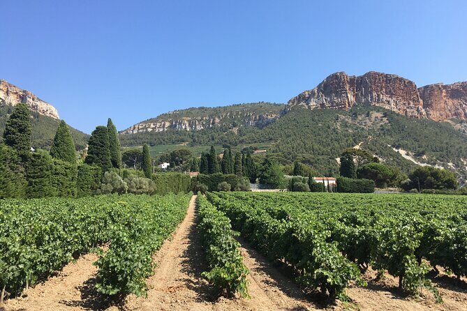 Half day Wine Tour in Bandol & Cassis from Aix en Provence - Practical Details and Tips