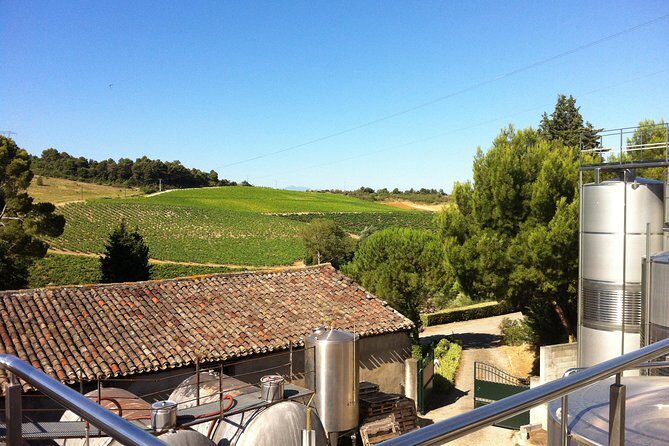 Half day wine tour. Private tour from Carcassonne and around. - A Closer Look at the Half-Day Private Wine Tour from Carcassonne