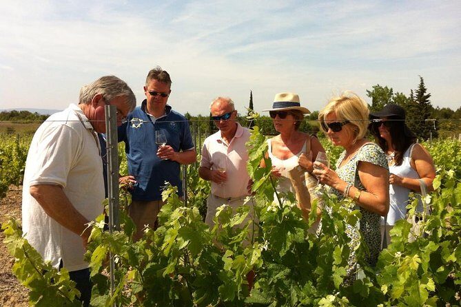 Half day wine tour. Private tour from Carcassonne and around. - Key Points
