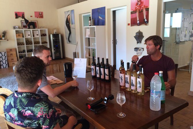 Half day wine tour. Private tour from Carcassonne and around. - Practicalities: What You Need to Know
