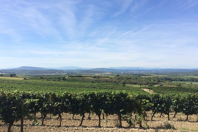 Half day wine tour. Private tour from Carcassonne and around. - Final Thoughts: Is This Tour Right for You?