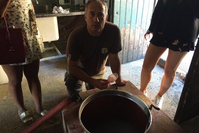 Half day wine tour. Private tour from Carcassonne and around. - FAQ