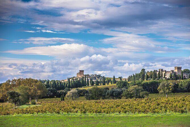 Half-Day Winery and Wine Tasting Guided Walking Tour - An In-Depth Look at the Tour Experience