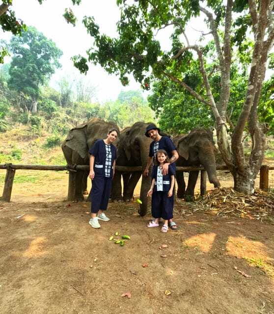 Half-day with CHIANGMAI ELEPHANT CARE program (12pm-6pm.) - Who Will Love This Tour?