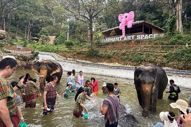 Half day with Elephants at Patong Elephant Hug No ride No trick - Key Points