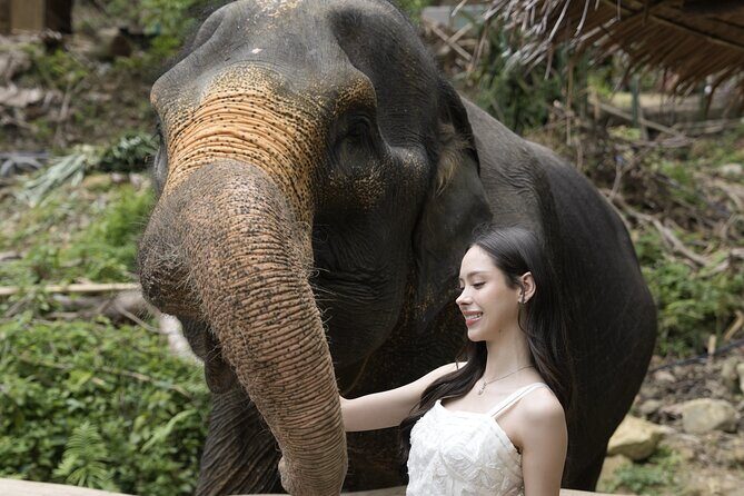 Half day with Elephants at Patong Elephant Hug No ride No trick - Final Thoughts