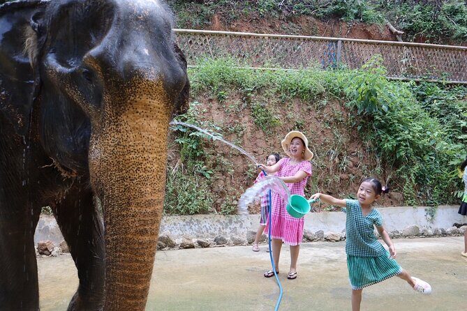 Half day with Elephants at Patong Elephant Hug No ride No trick - FAQ