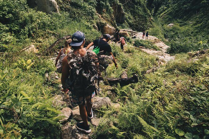 Half-Day Yunque Rainforest Waterslide & rope swing Guided Tour - An Honest Look at the El Yunque Waterfall & Rope Swing Tour