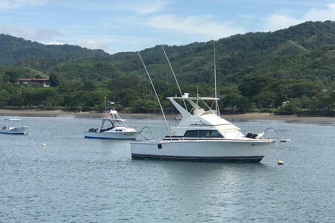 Half-full Day Sport Fishing Tour from Flamingo Beach - Final Thoughts