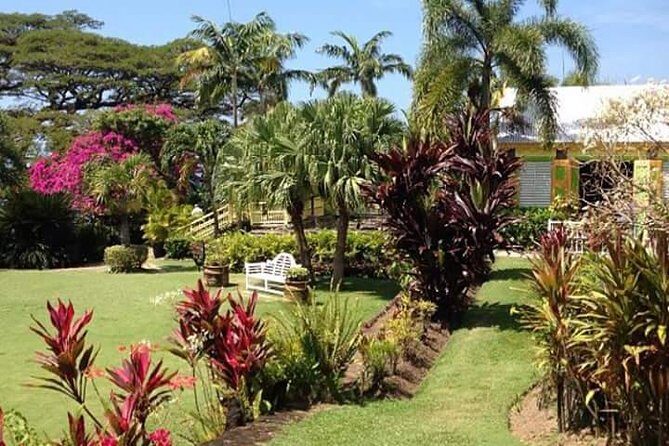 Half-Island Tour of St Kitts - What’s Included and What’s Not