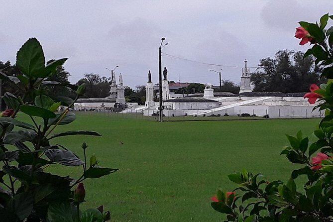 Half Island West side history/ snorkel tour - Who Is This Tour Best For?