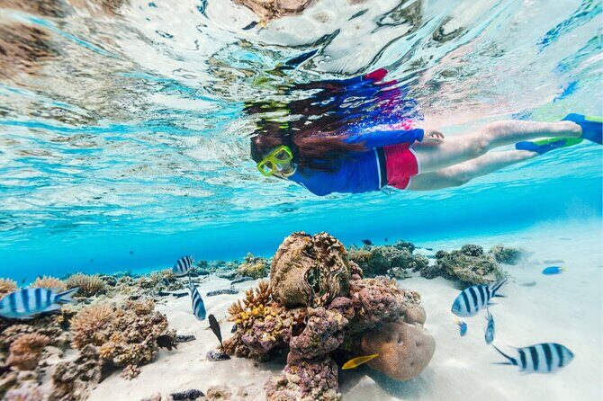 Half Moon Bay Jet Ski Tour & Snorkeling the La Famille Shipwreck - Cultural and Natural Highlights Beyond the Water