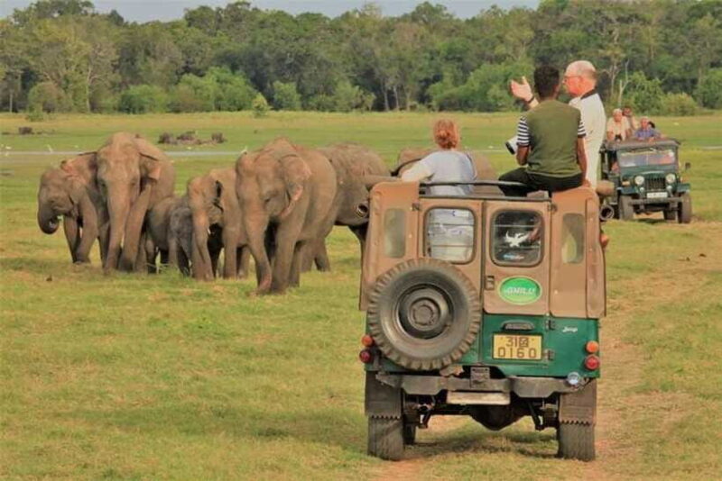 HalfDay Jeep Safari in Minneriya National Park - FAQ