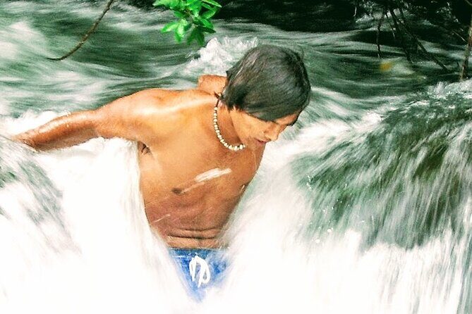 Halfway to Hana Private Tour Maui BlackBeach Waterfalls Turtles - Detailed Breakdown of the Itinerary