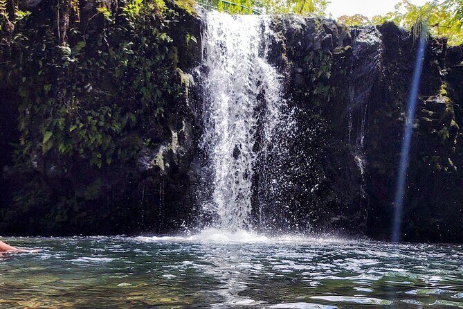 Halfway to Hana Private Tour Maui BlackBeach Waterfalls Turtles - Who Will Love This Tour?
