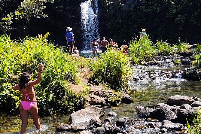 Halfway to Hana Private Tour Maui BlackBeach Waterfalls Turtles - Frequently Asked Questions