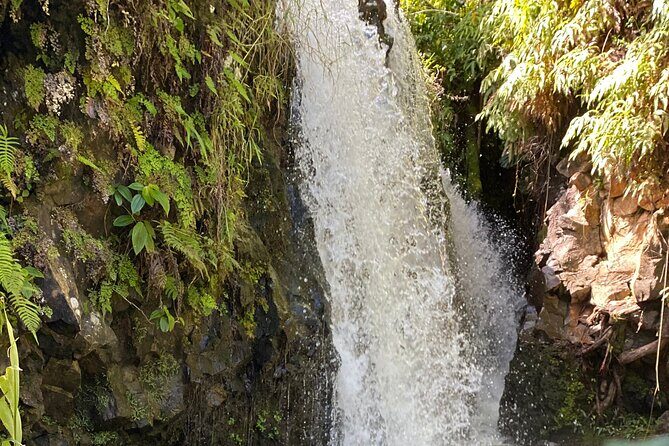 Halfway to Hana Sightseeing Adventure - Key Points