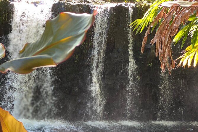 Halfway to Hana Sightseeing Adventure - Authentic Experiences and Practical Tips