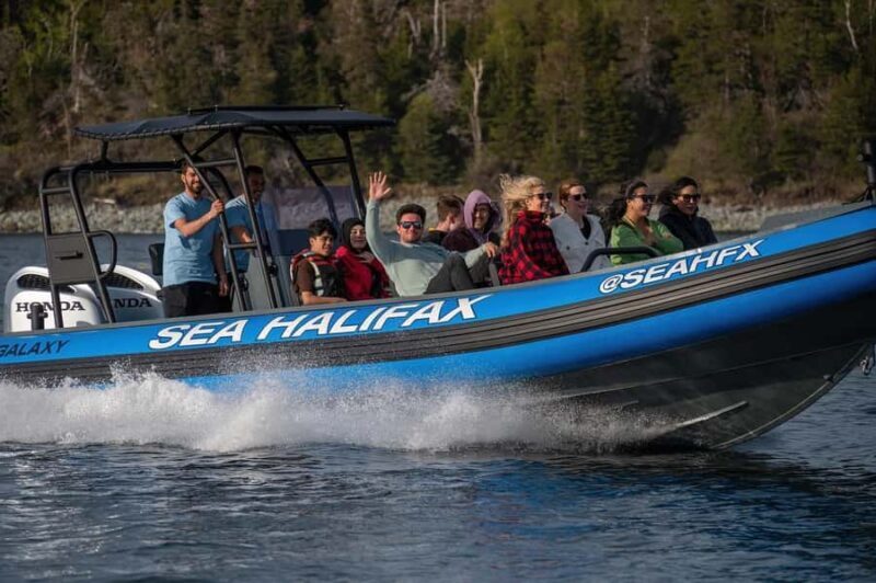 Halifax: 50-Minute Boat Tour of the Harbour - Key Points