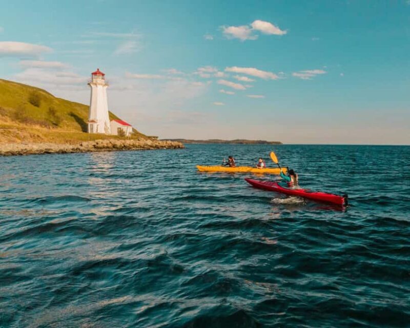 Halifax: Georges Island Kayak Tour - Key Points