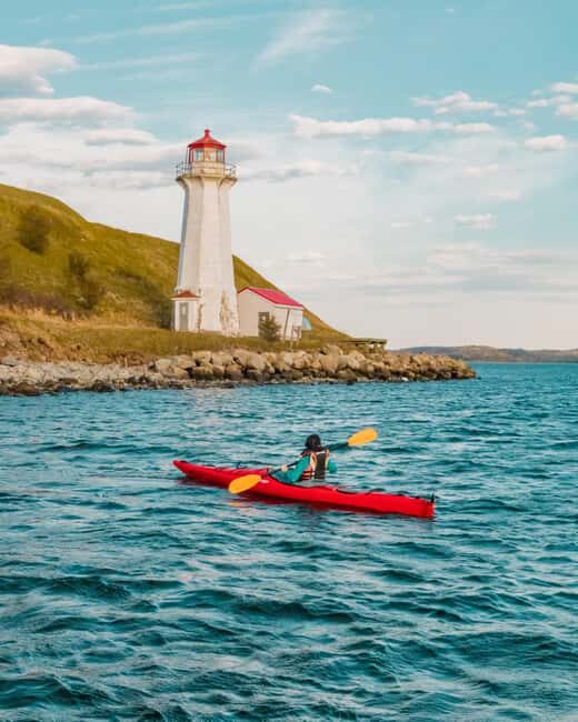 Halifax: Guided Kayak Tour with Multiple Options - Dive Into Halifaxs Waterways: A Full Breakdown of the Kayak Tour Experience