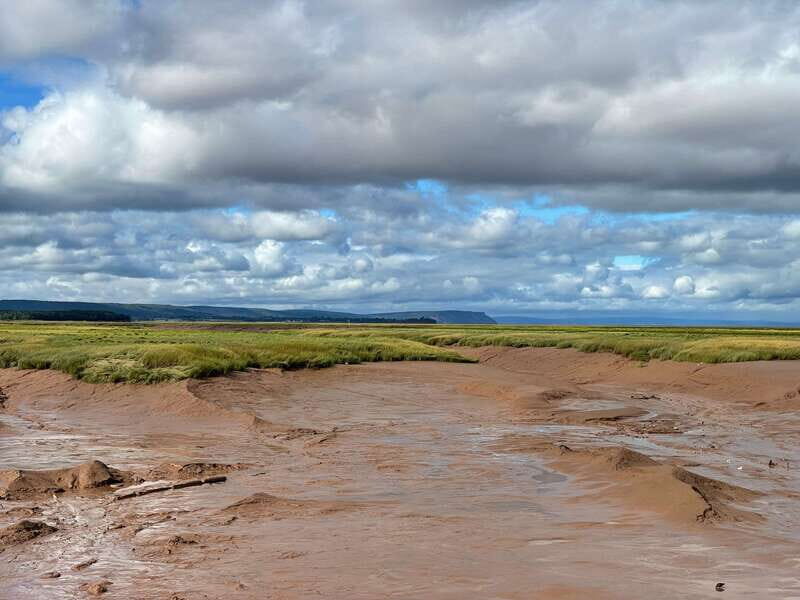 Halifax: Peggy's Cove, Lunenburg, and Annapolis Valley Tour - The Sum Up