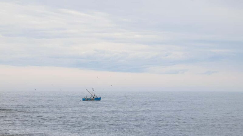 Halifax Small-Group Express Peggys Cove Tour - Final Words