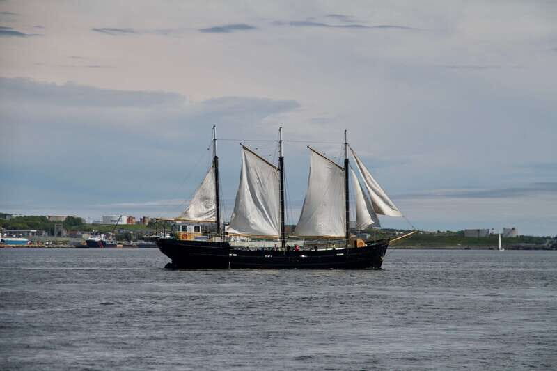 Halifax: Tall Ship Harbor Sailing Cruise with Live Music - Halifax: Tall Ship Harbor Sailing Cruise with Live Music — A Detailed Review
