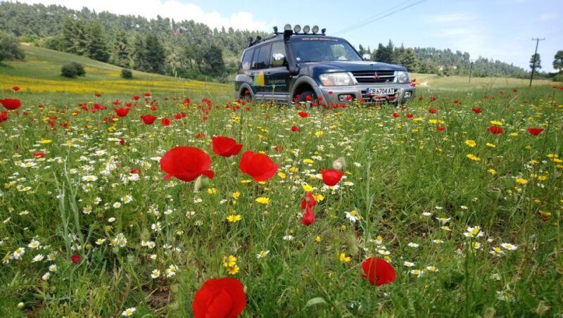 Halkidiki: Kassandra 4x4 Jeep Safari Off-Road Experience - The Sum Up