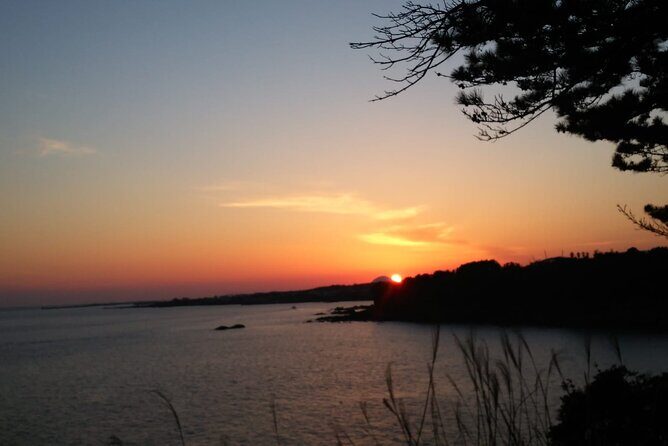 Hallasan Seongpanak transfer,One way, Round trip - A Practical and Personalized Journey to Hallasan Seongpanak