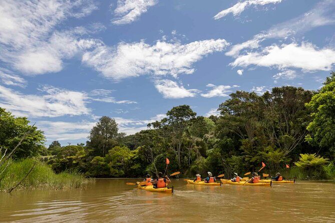 Hallertau Clevedon Kayak Tour - An In-Depth Look at the Hallertau Clevedon Kayak Tour